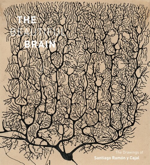 The Beautiful Brain: The Drawings of Santiago Ramon Y Cajal (Hardcover)
