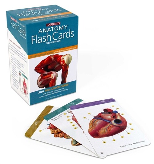 Anatomy Flash Cards (Other, 3)