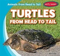 Turtles from Head to Tail (Library Binding)