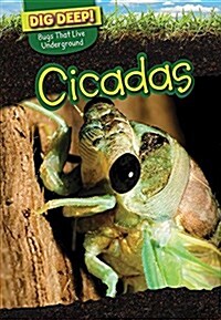 Cicadas (Paperback)