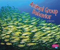 Animal Group Behavior (Paperback)