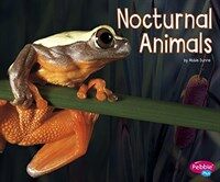 Nocturnal Animals (Paperback)