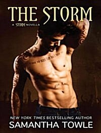 The Storm (MP3 CD, MP3 - CD)