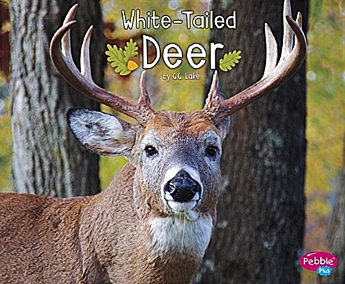 White-Tailed Deer (Hardcover)