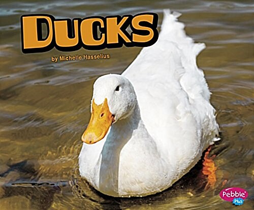 Ducks (Hardcover)