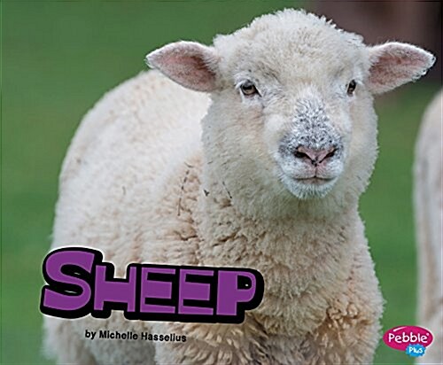 Sheep (Hardcover)