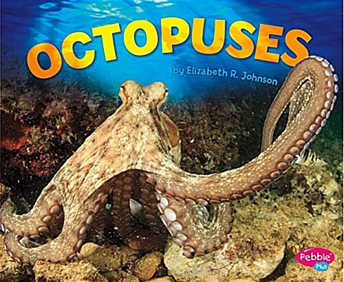 Octopuses (Hardcover)