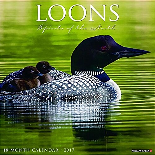 Loons (Wall, 2017)