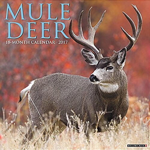 2017 Mule Deer Wall Calendar (Other)