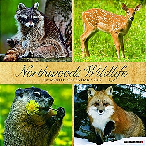 Northwoods Wildlife (Wall, 2017)