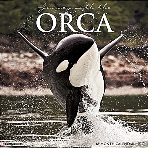 Orcas (Wall, 2017)