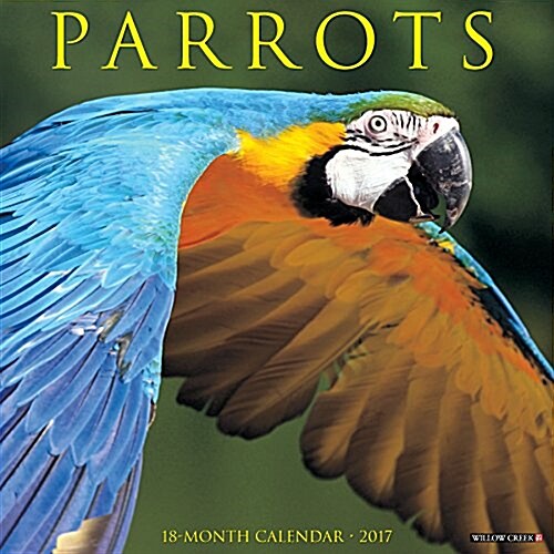 2017 Parrots Wall Calendar (Other)