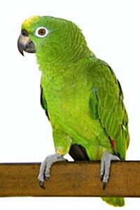 Amazon Parrot (Birds of the World): Blank 150 Page Lined Journal for Your Thoughts, Ideas, and Inspiration (Paperback)