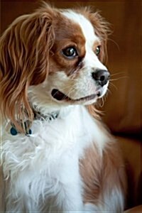 The Cavalier King Charles Spaniel Dog Journal: 150 Page Lined Notebook/Diary (Paperback)