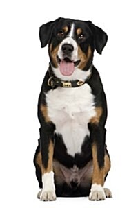 The Entlebucher Mountain Dog Journal: 150 Page Lined Notebook/Diary (Paperback)