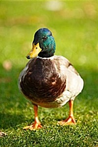 Mallard Duck (Birds of the World): Blank 150 Page Lined Journal for Your Thoughts, Ideas, and Inspiration (Paperback)