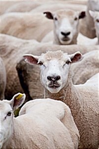 Freshly Shorn Sheep, for the Love of Animals: Blank 150 Page Lined Journal for Your Thoughts, Ideas, and Inspiration (Paperback)