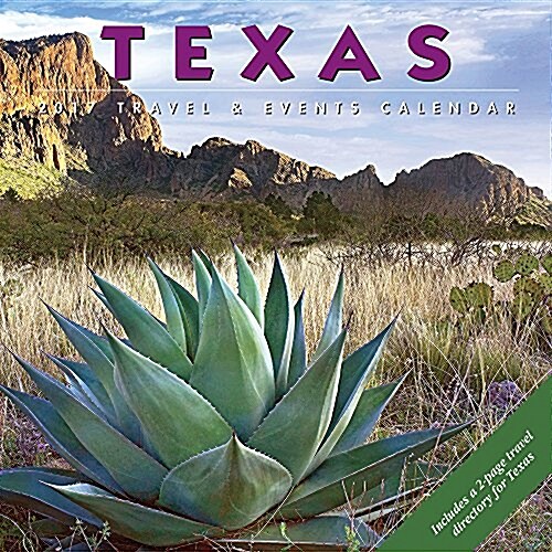 Texas (Wall, 2017)