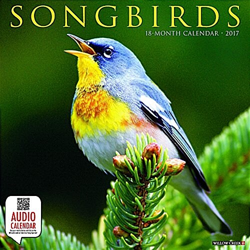 2017 Songbirds Wall Calendar (Other)