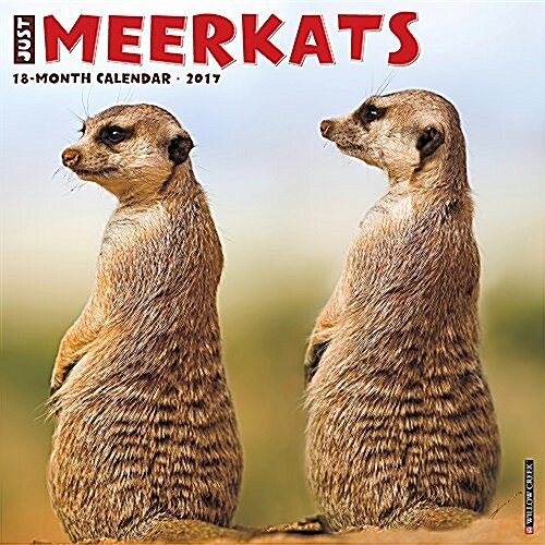 Meerkats (Wall, 2017)
