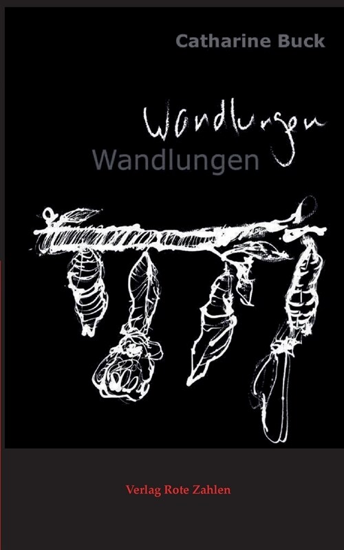 Wandlungen: Gedichte & Songtexte 1999 - 2015 (Paperback)