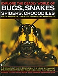 Explore the Deadly World of Bugs, Snakes, Spiders, Crocodiles : And Hundreds of Other Amazing Reptiles and Insects (Hardcover)