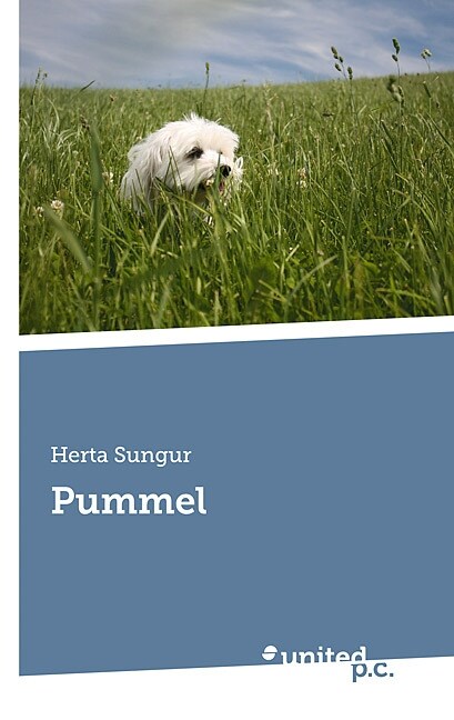 Pummel (Paperback)