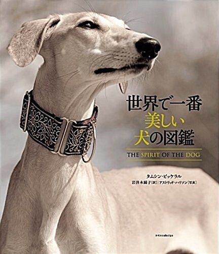 世界で一番美しい犬の圖鑑 (單行本)