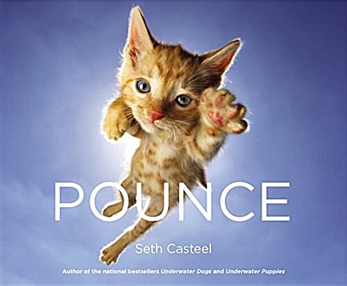 Pounce (Hardcover)