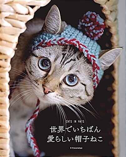 世界でいちばん愛らしい帽子ねこ-CATS IN HATS (單行本)