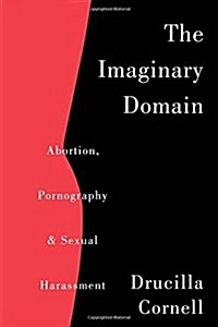 The Imaginary Domain (Hardcover)