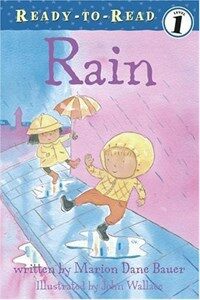 Rain (Library)