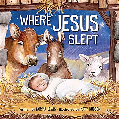 Where Jesus Slept (Hardcover)