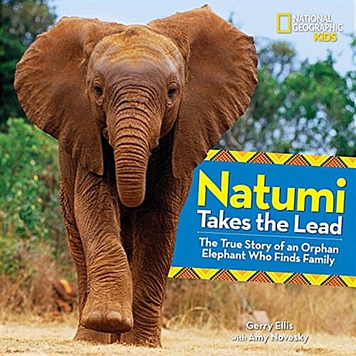 [중고] Natumi Takes the Lead: The True Story of an Orphan Elephant Who Finds Family (Hardcover)
