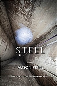 Steel (Paperback)