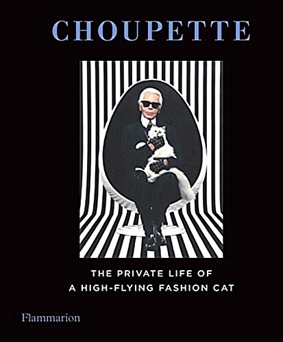Choupette: The Private Life of a High-Flying Cat (Hardcover)