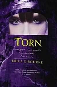 Torn (Paperback)