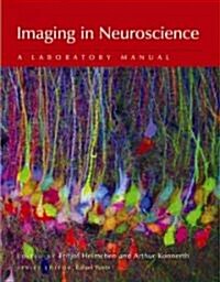 Imaging in Neuroscience: A Laboratory Manual (Paperback)