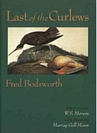 Last of the Curlews (Paperback)