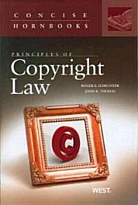 Principles of Copyright Law (Paperback)