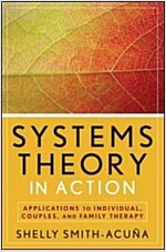 Systems Theory in Action: Applications to Individual, Couple, and Family Therapy (Paperback)