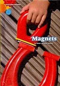 Magnets (Library Binding)