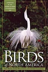 Birds of North America (Paperback)