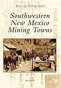 Southwestern New Mexico Mining Towns (Paperback)