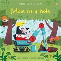 Mole in a Hole (Paperback)