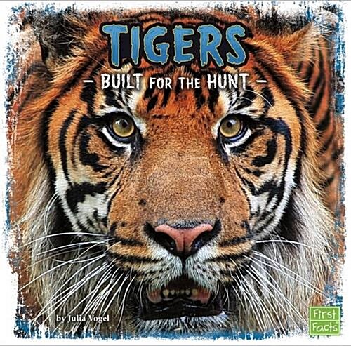 Tigers : Built for the Hunt (Paperback)