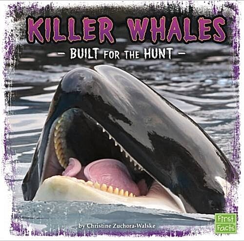 Killer Whales : Built for the Hunt (Paperback)