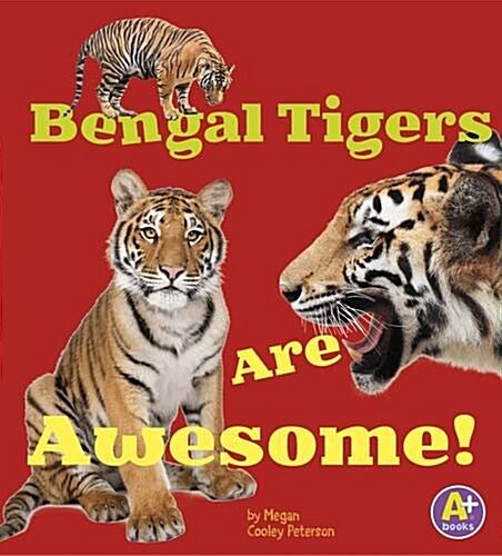 Bengal Tigers are Awesome! (Paperback)