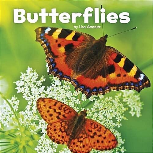 Butterflies (Hardcover)