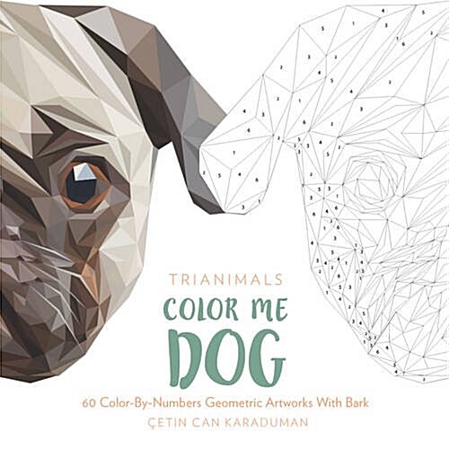 Trianimal: Colour Me Dog (Paperback)